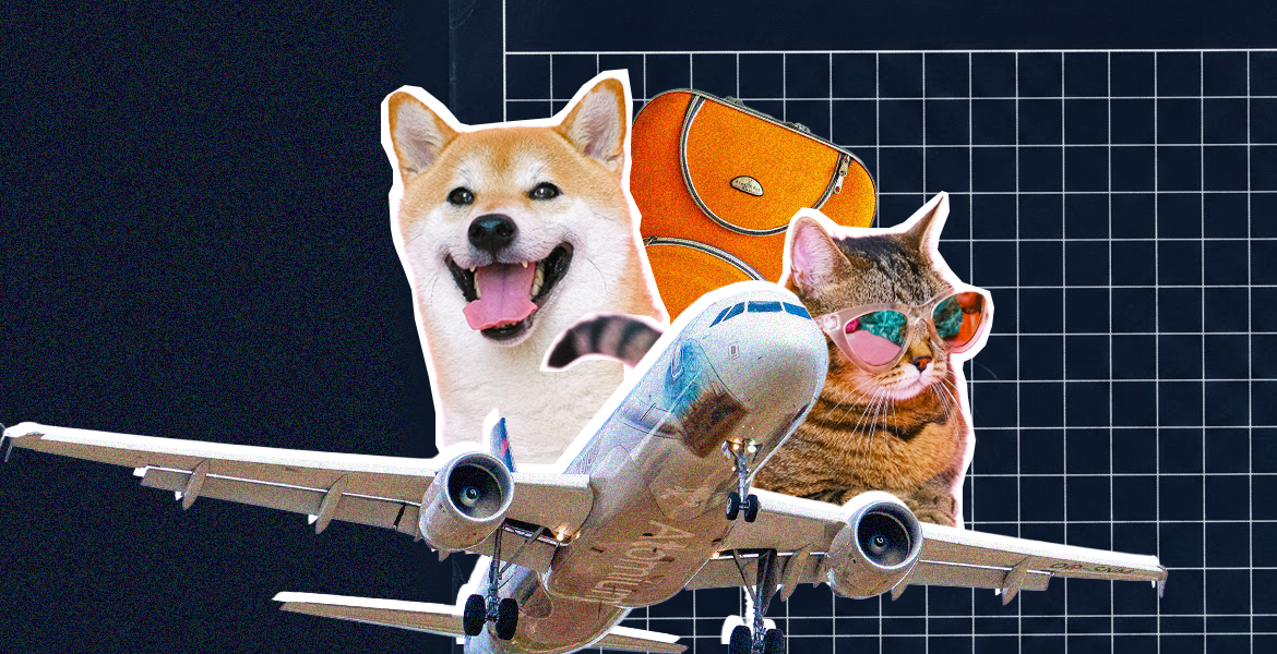 Would you relocate for a job if your pet couldn't come with you? - WiT