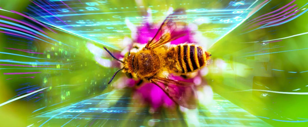 The agents are swarming: Lessons from the bees