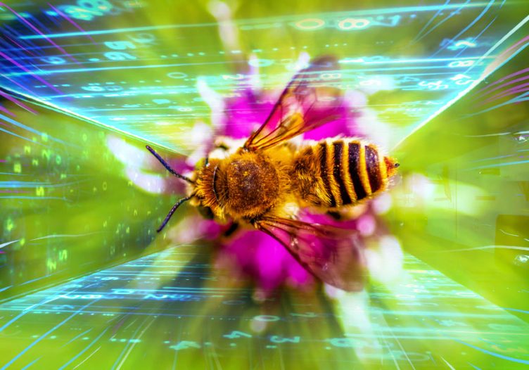 The agents are swarming: Lessons from the bees